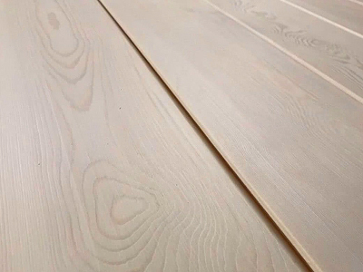 Ангарская сосна